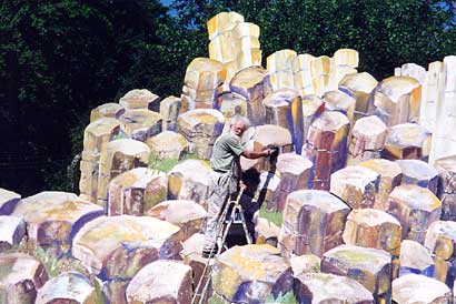 Brian on ladder painting Giant's Causeway Mural