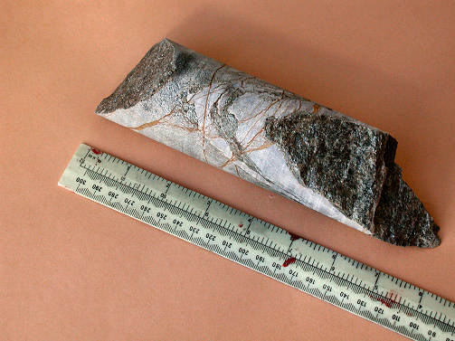 Our sample of a core